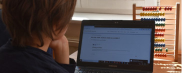 Junge liest sich Blogartikel auf dem Laptop durch